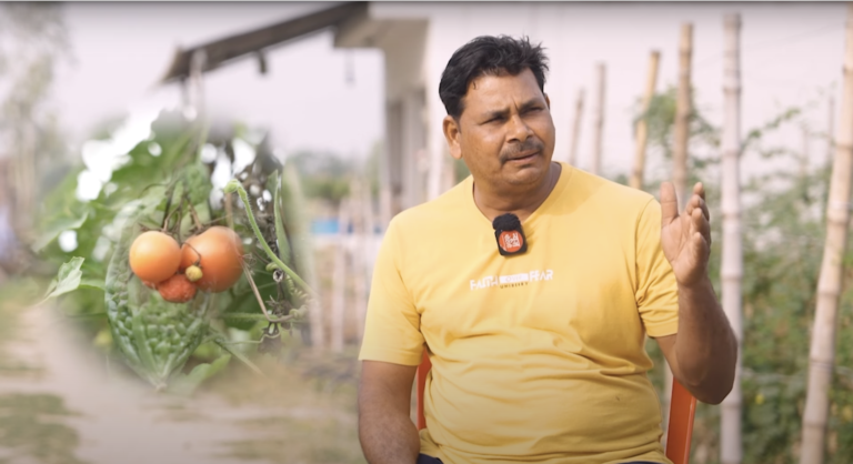 सब्जियां